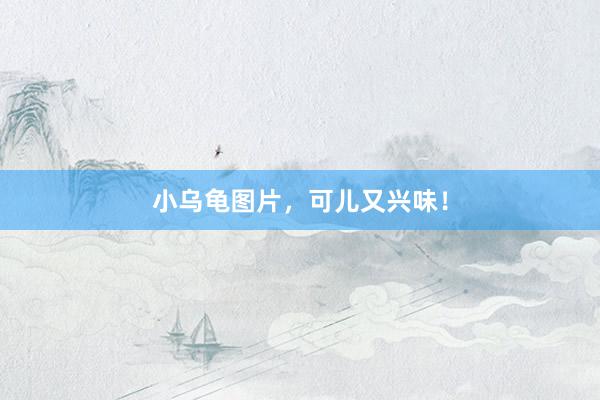 小乌龟图片,可儿又兴味!
